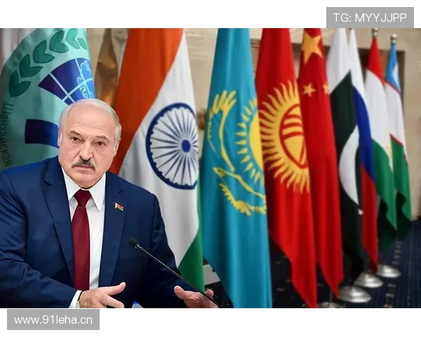 巴拉克与麦克拉伦在组织节奏下发生分化形成多点参与趋势